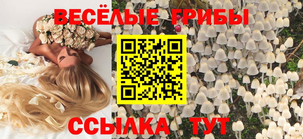 Псилоцибиновые грибы ЛСД Мытищи